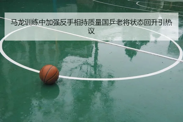 马龙训练中加强反手相持质量国乒老将状态回升引热议