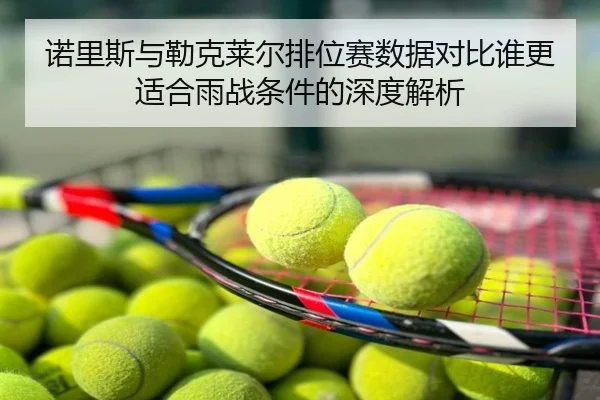 诺里斯与勒克莱尔排位赛数据对比谁更适合雨战条件的深度解析