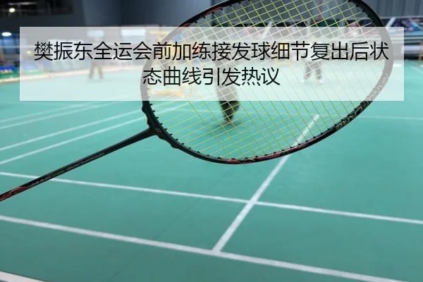 樊振东全运会前加练接发球细节复出后状态曲线引发热议